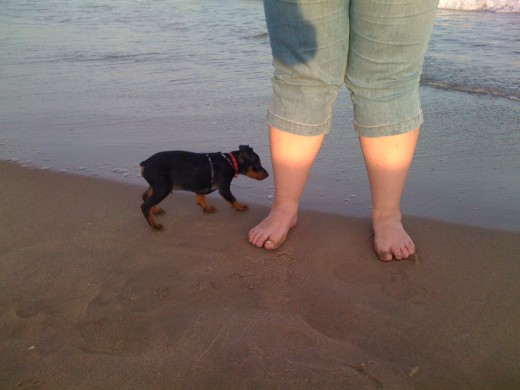 Mi primer dia en la playa